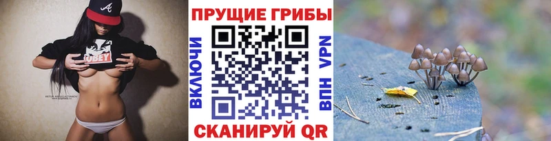 это как зайти  Слободской  Псилоцибиновые грибы GOLDEN TEACHER 